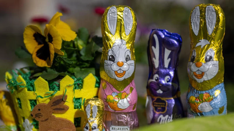 Record High Cocoa Prices Just in Time for Easter Celebrations