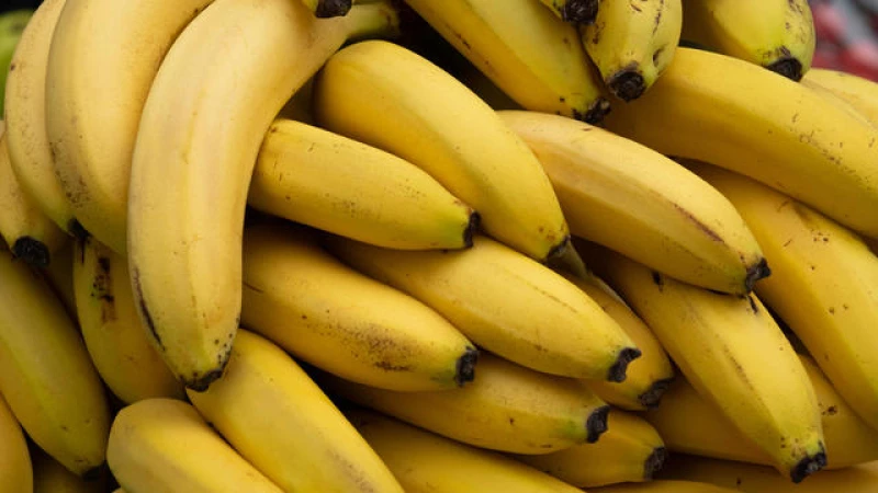 "Breaking News: Trader Joe's Increases Banana Price After 20 Years!"