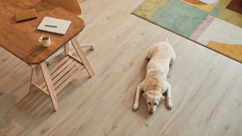 Discover the Best Hardwood Floor Cleaners for a Fresh and Polished Look