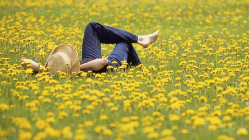 Unlocking the Power of Laziness: Why Taking It Easy is Essential