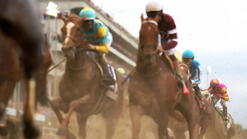 Enhancing Safety Measures for Horses and Riders: Insights from Churchill Downs President