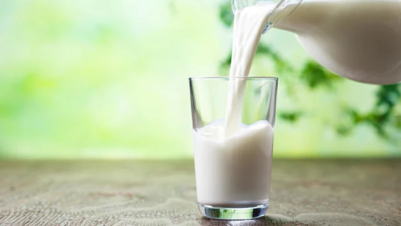 Beware: Bird Flu Risk in Raw Milk! Health Experts Issue Warning on Unpasteurized Dairy