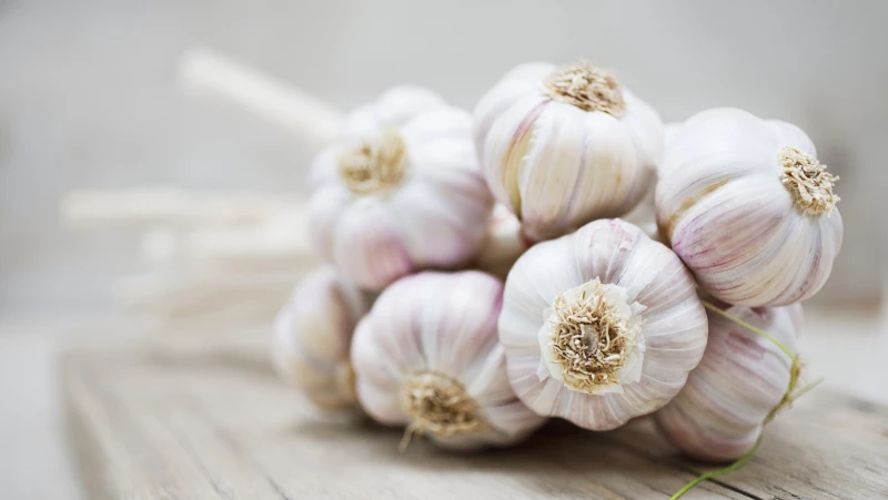 Unveiling the Surprising Truth: Can Garlic Double as Glue in an Emergency? Get the Facts!