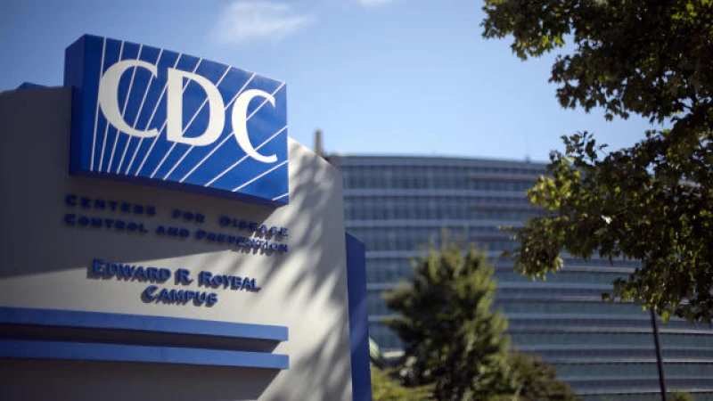 CDC Warns: Bird Flu Viruses Have Pandemic Potential, Reveals Critical Knowledge Gaps