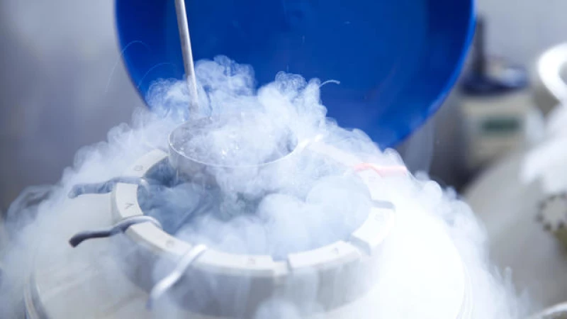Alabama Supreme Court refuses to reconsider contentious ruling on frozen embryos