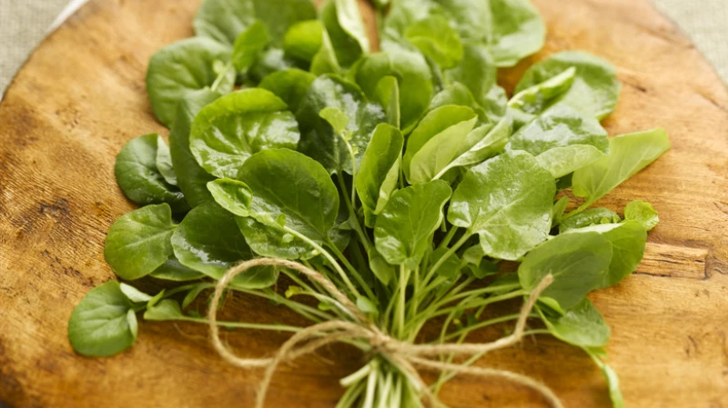 Watercress