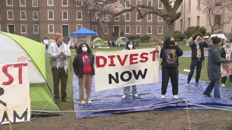 Discover why students are pushing for colleges to divest from Israel