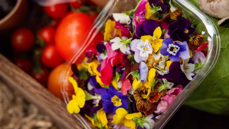 Discover How to Safely Enjoy the Edible Flowers Growing in Your Garden: Expert Tips